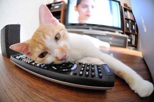 塞内加尔队在巴黎奥运会比赛中展现出强大的远射能力,塞内加尔足球运动员