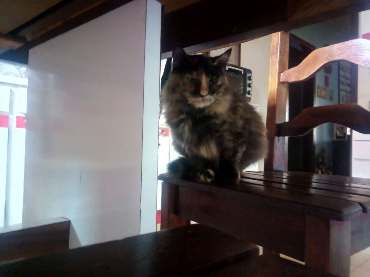 未来联盟:体育+娱乐的全新融合趋势分析,体育娱乐市场