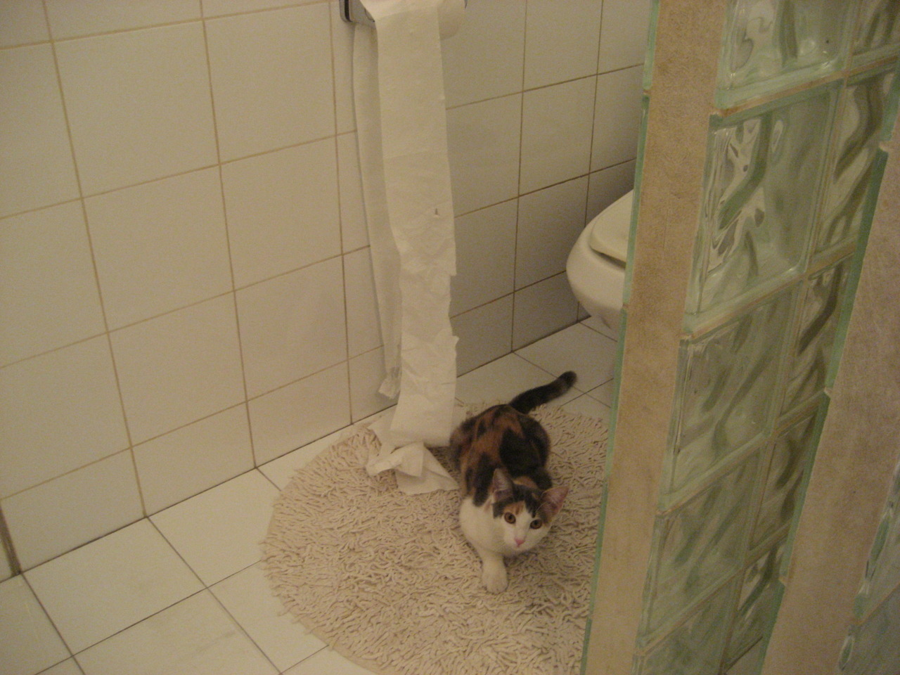 Leyu Sport下载-未来数字体育：“云上赛场”引领新风潮，云上未来科技