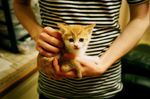 英超劲旅引入世界顶级中场，转会费创新纪录，英超转会净投入