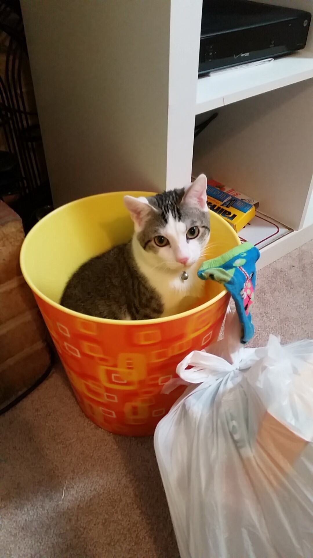 CBA联赛俱乐部管理创新案例，cba俱乐部投入