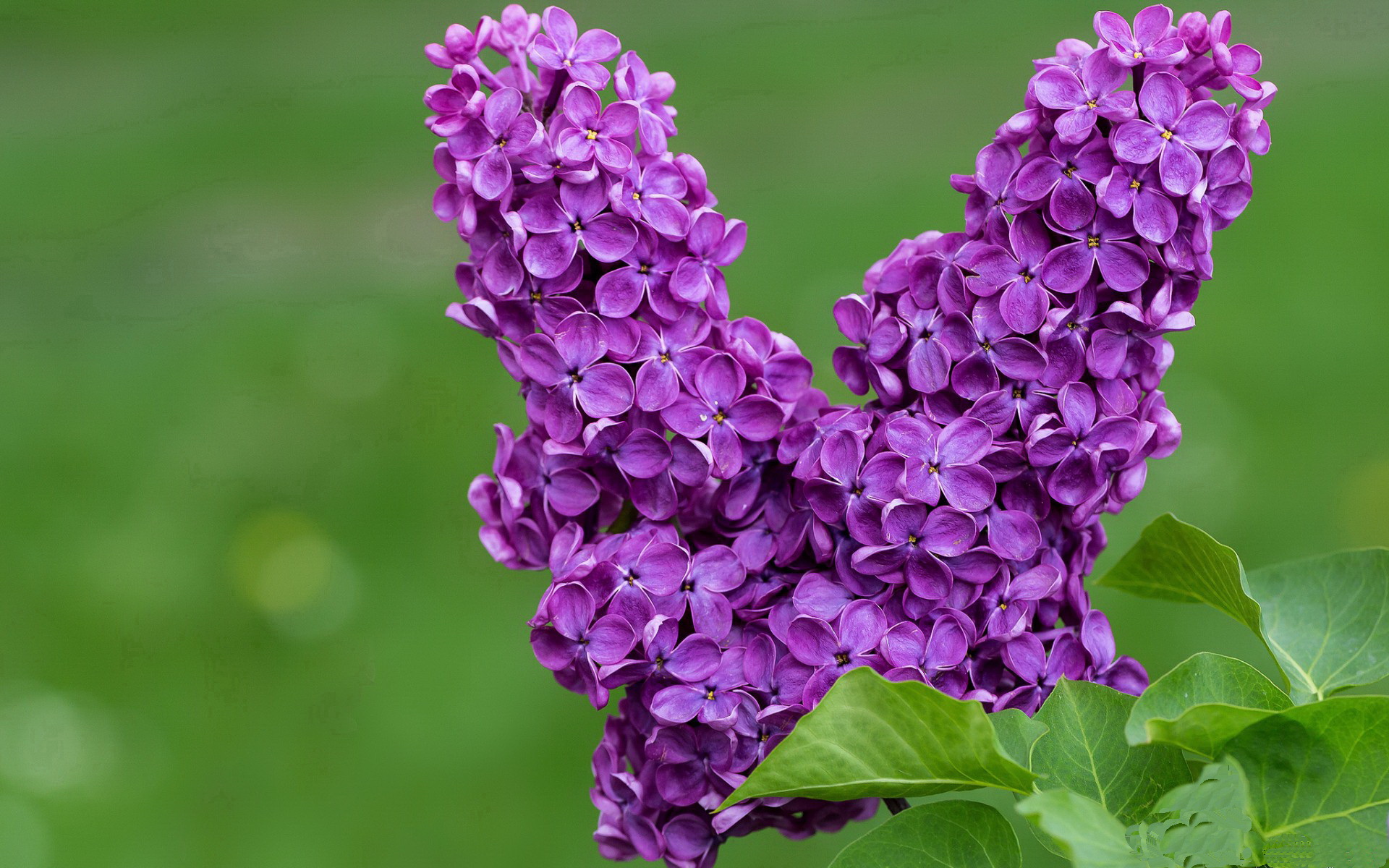 亚非篮球联赛开赛倒计时,全球球迷翘首期待,亚非国际集团