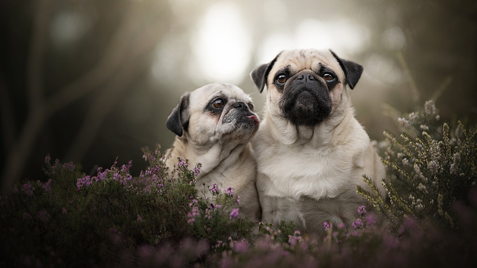 电竞城市引进专业电竞培训机构,电竞职业培训学校