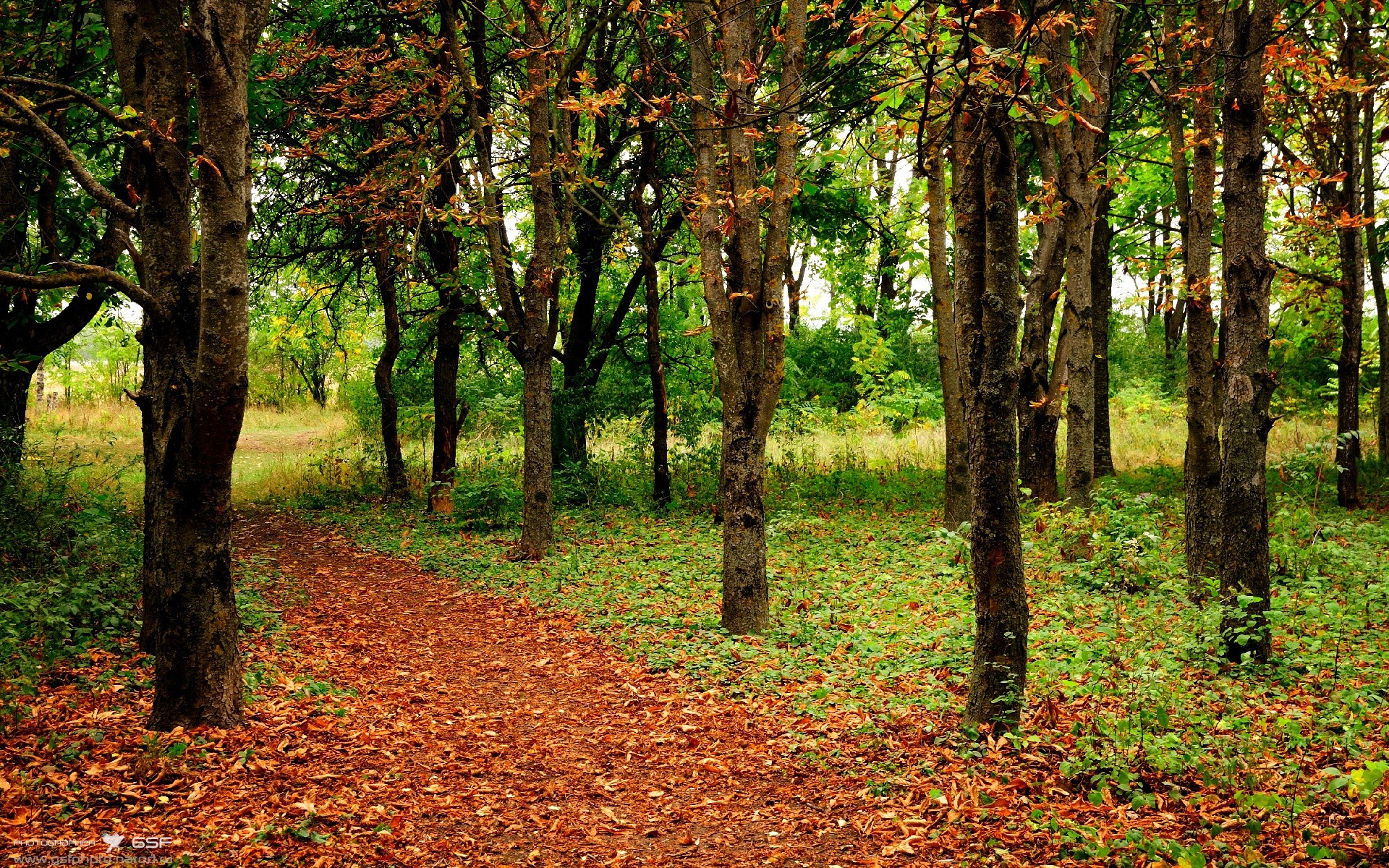 乐鱼体育平台官网-韩国星际争霸赛事转播平台升级，韩国星际争霸直播平台