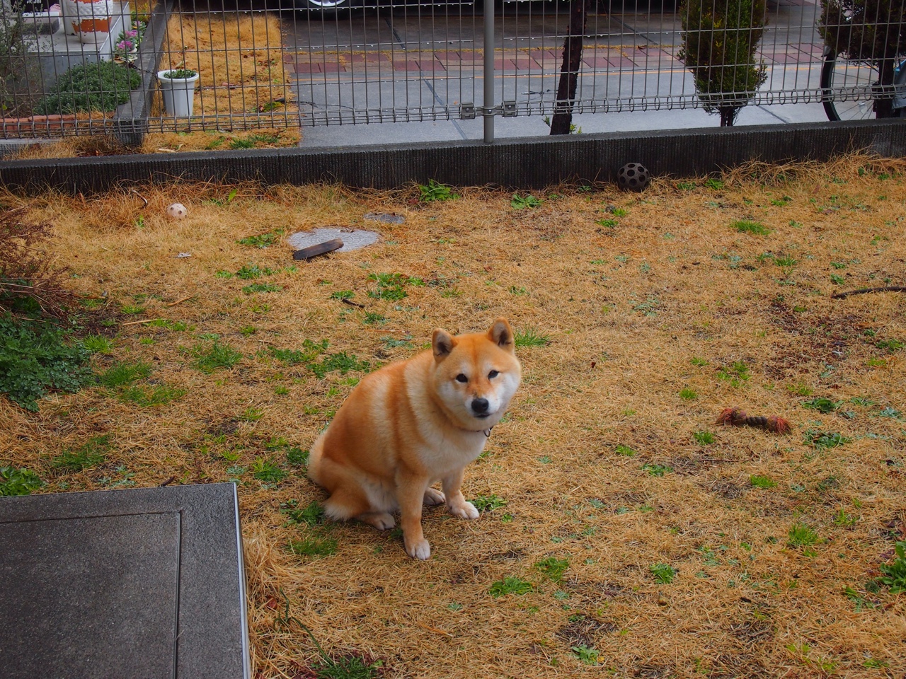 法甲球队数据可视化在比赛战术调整中的应用,法甲球队地图