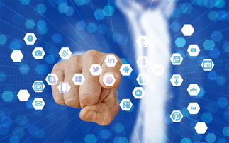 leyu乐鱼官网登录入口-篮球专项技能教学视频资源创新开发，篮球技术教学