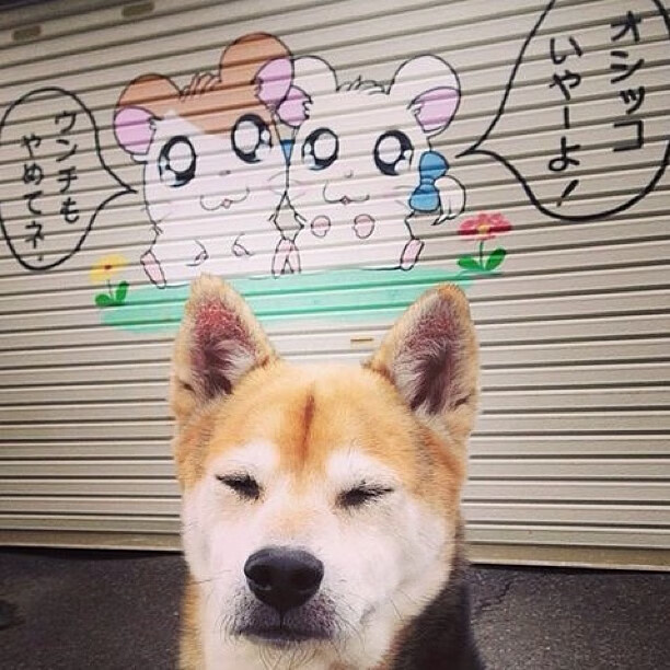 亚洲杯国家队爆冷 技术问题逐渐暴露,亚洲杯预选赛国家队名单