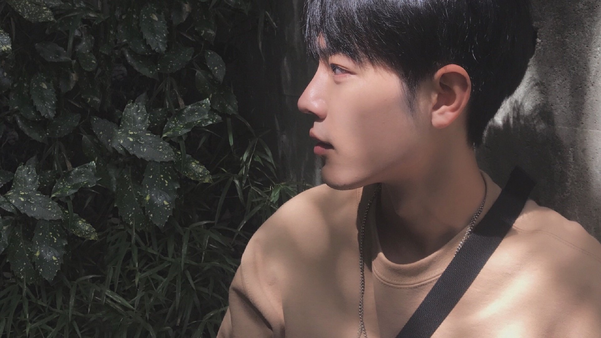 体育新闻中心上线体育赛事数据可视化展示平台,体育新闻(全程回放)