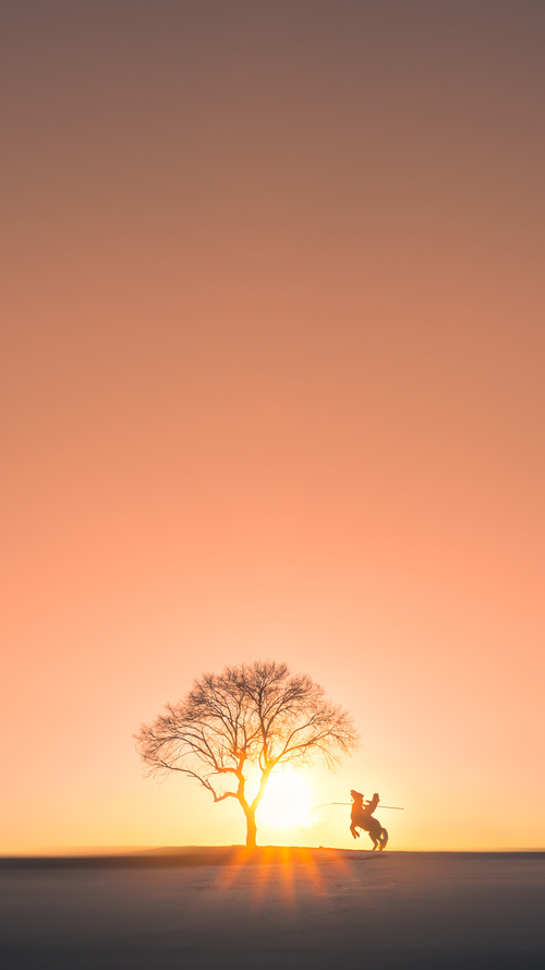 体育新闻中心深化体育赛事数据驱动传播机制，体育赛事创新