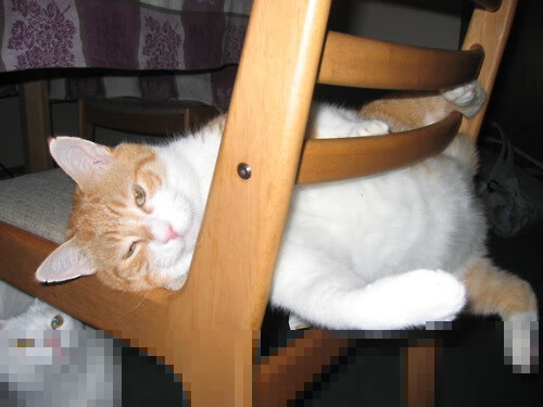 男子羽毛球世界排名中国选手重返前三,男子羽毛球中国排名榜