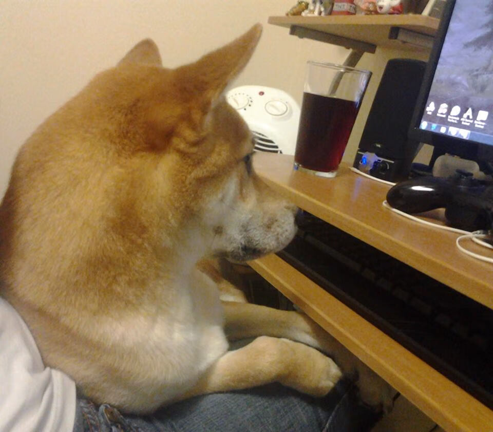 LEYU乐鱼体育官方网站-蝶泳节奏曲线变化：中国更线性，美国更波动，蝶泳动作解析