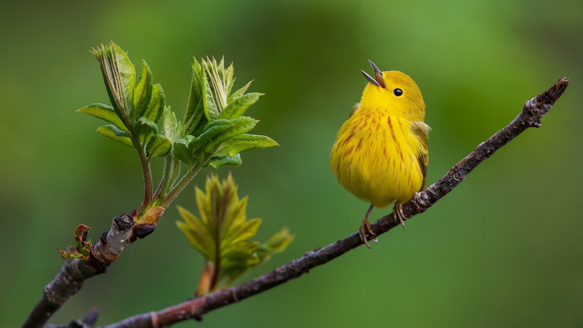 中乙球队推广线上票务系统提高观众入场便捷性,中乙联赛门票在哪买票