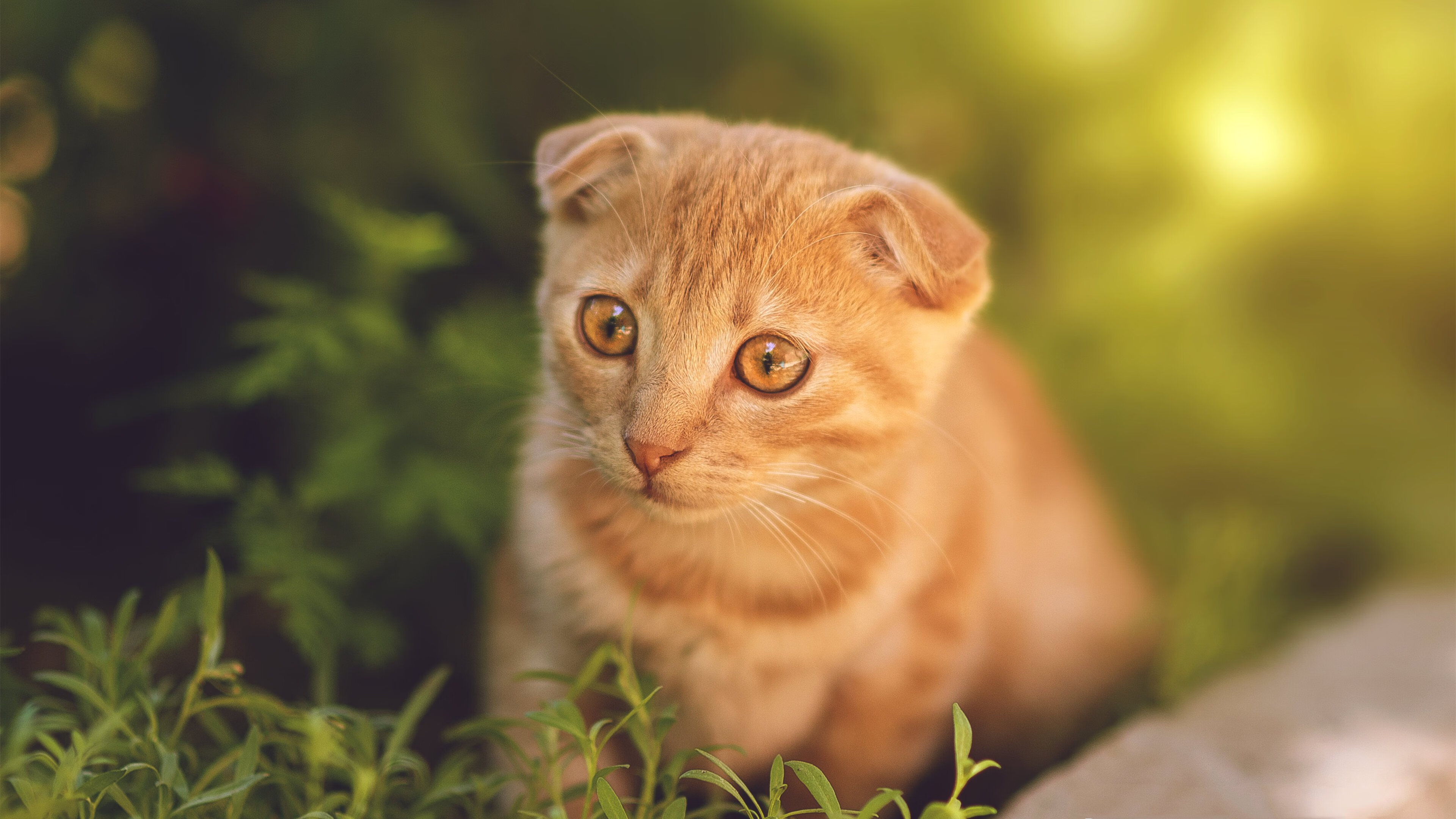 中国足球俱乐部加大对青训资金投入力度,中国足球青训政策