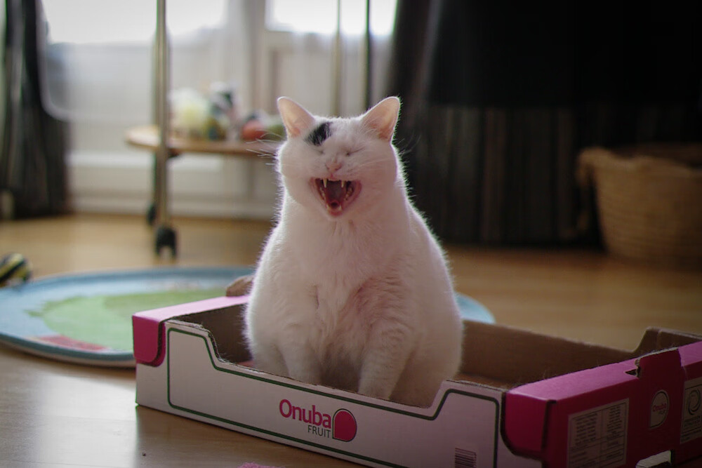 乐鱼体育-国家体育总局启动冬奥推广体验车进校园活动，冬奥会项目学车