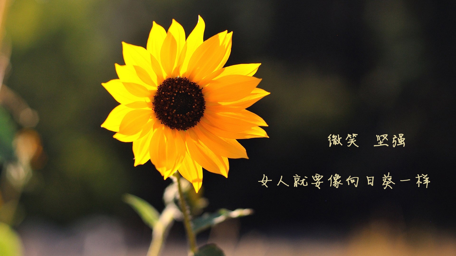 LeyuSports-国家冬奥备战组公布运动队最新医疗保障安排，2022年冬奥会医疗保障人员