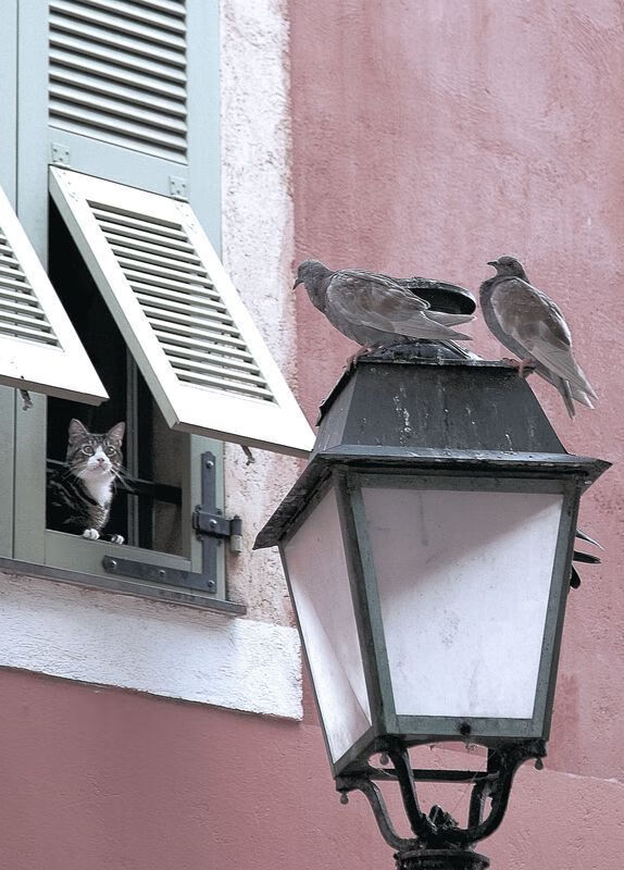 拉文称需要全队同频率执行战术,拉文带队能力