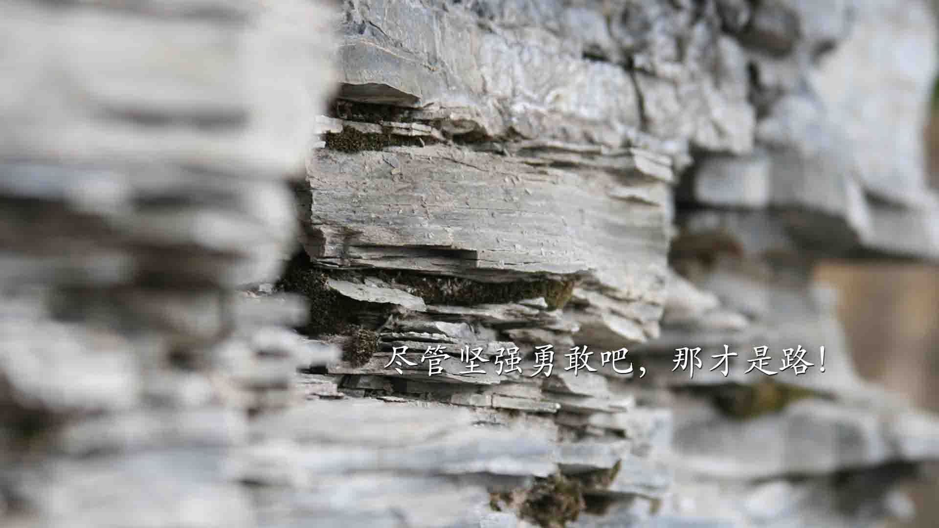 梅西中场吊射惊艳全场球迷,梅西中场过人