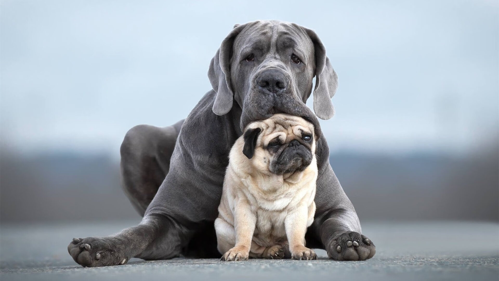 欧洲杯的数字化内容传播创新,欧洲杯要用到的数学知识