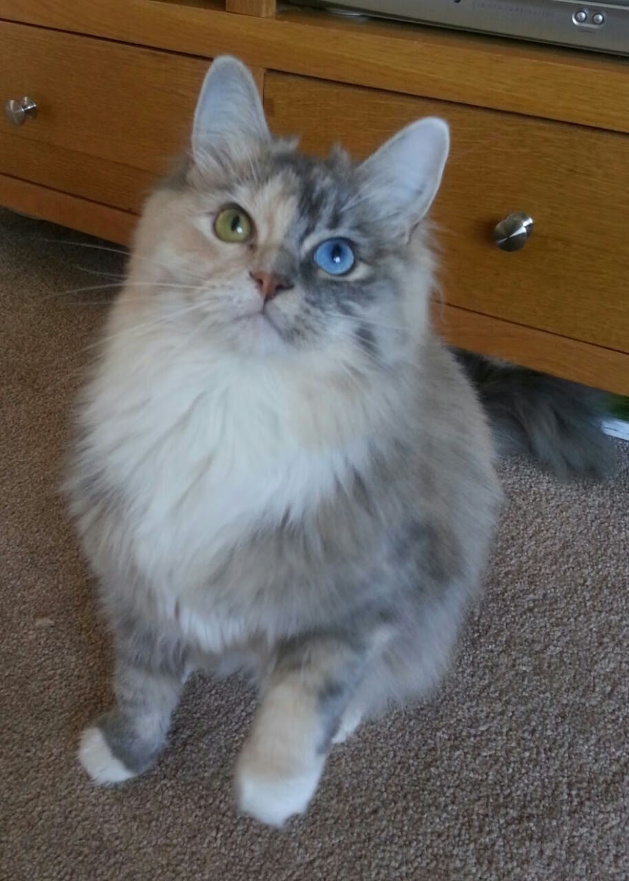 法甲攻势如潮:彩球蔚然成海,引爆全场,法甲竞猜官网