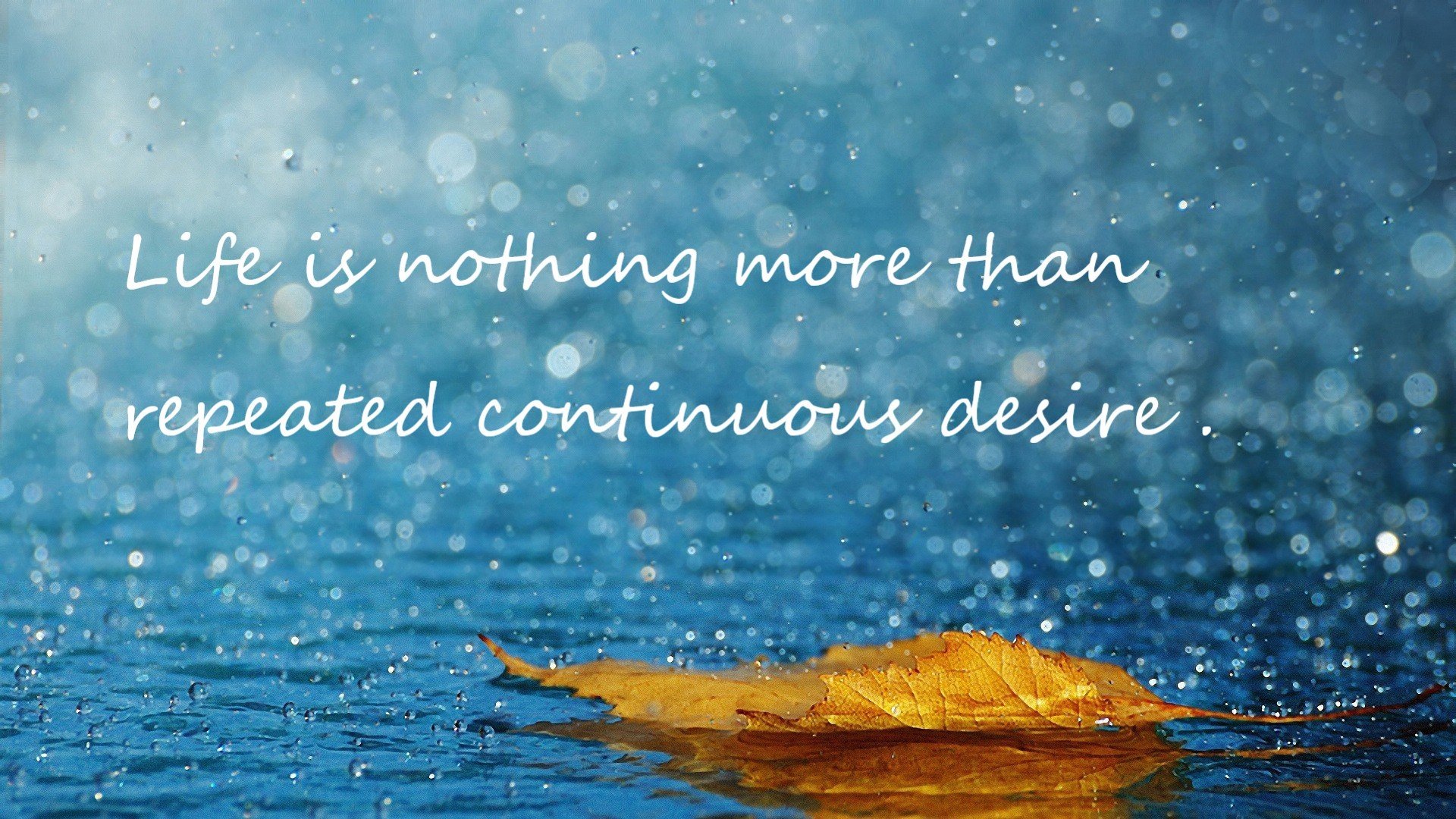 爱尔兰橄榄球商业化进程加快,爱尔兰体育项目