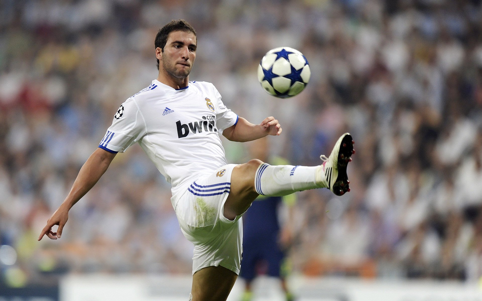 乐鱼电竞-高尔的进攻组织与快速反击，令袋鼠队攻势凌厉